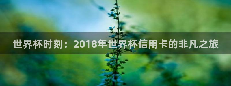 2026葡萄牙杯赛程表：世界杯时刻：2018年世界杯信用卡的非凡之旅
