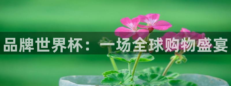 世界杯亚洲区预选赛赛程：品牌世界杯：一场全球购物盛宴