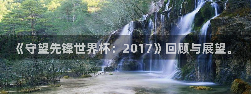 世界杯足球比赛：《守望先锋世界杯：2017》回顾与展望。