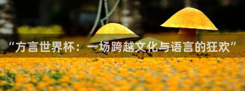 世预赛直播：“方言世界杯：一场跨越文化与语言的狂欢”