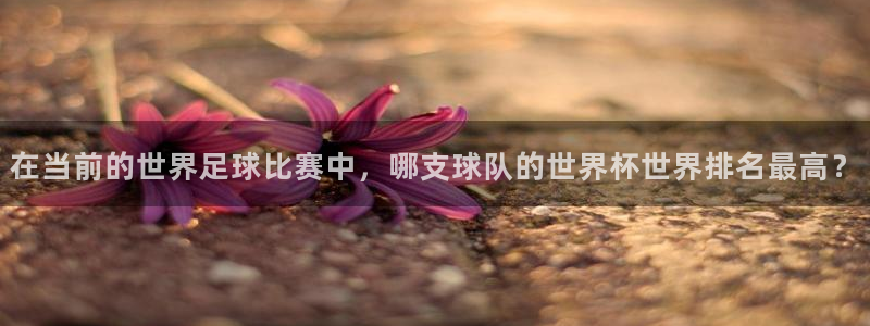 2026世界杯倒计时：在当前的世界足球比赛中，哪支球队的世界杯世界排名最高？