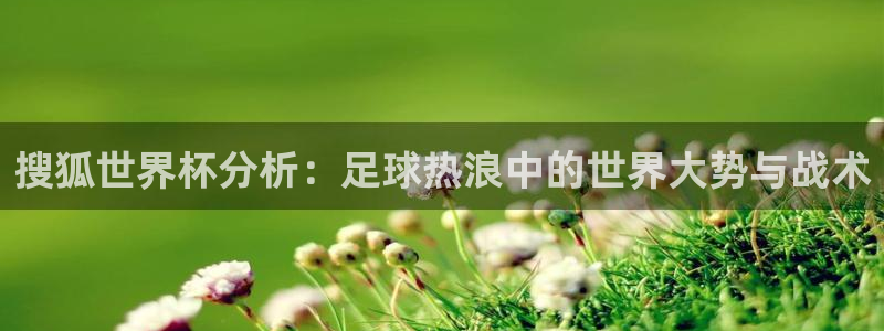 世界杯球队：搜狐世界杯分析：足球热浪中的世界大势与战术