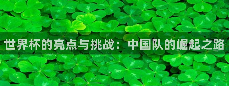 2026足球世界杯赛程时间表：世界杯的亮点与挑战：中国队的崛起之路