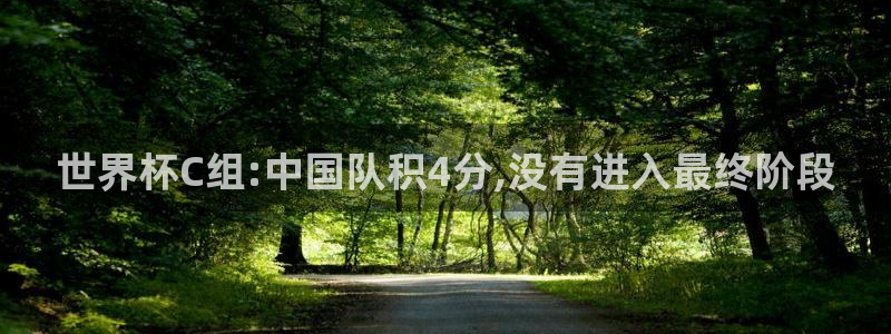 足球世预赛：世界杯C组:中国队积4分,没有进入最终阶段