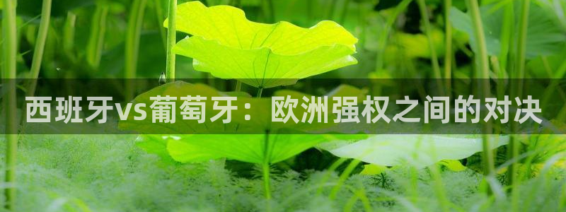 2006年世界杯冠军：西班牙vs葡萄牙：欧洲强权之间的对决