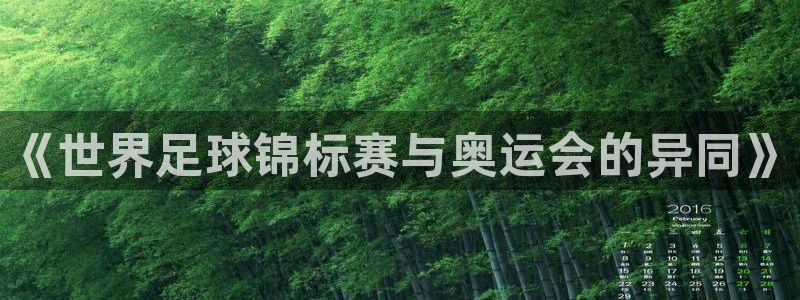 2026足球世界杯赛程：《世界足球锦标赛与奥运会的异同》