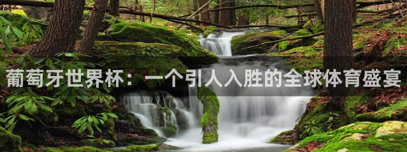 免费足球比赛直播高清：葡萄牙世界杯：一个引人入胜的全球体育盛宴