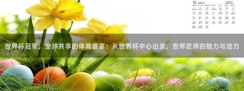 亚洲区世界杯预选赛：世界杯冠军，全球共享的体育盛宴：从世界杯中心出发，世界足球的魅力与活力