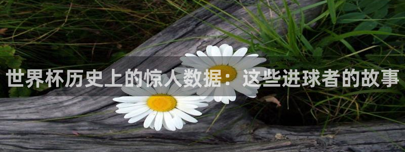 2026世界杯足球赛程时间表：世界杯历史上的惊人数据：这些进球者的故事