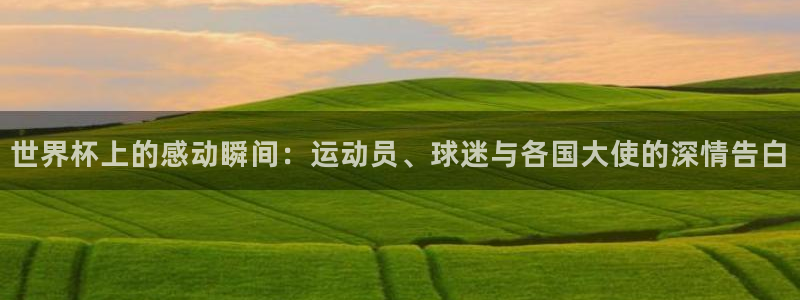 国际足联世界杯：世界杯上的感动瞬间：运动员、球迷与各国大使的深情告白