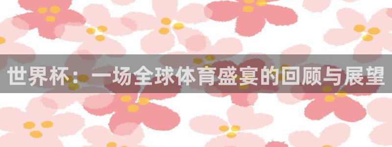 世界杯48支球队赛制：世界杯：一场全球体育盛宴的回顾与展望