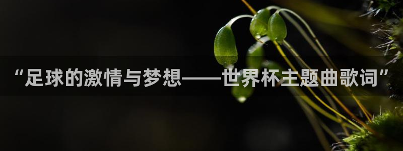 世界杯时间：“足球的激情与梦想——世界杯主题曲歌词”