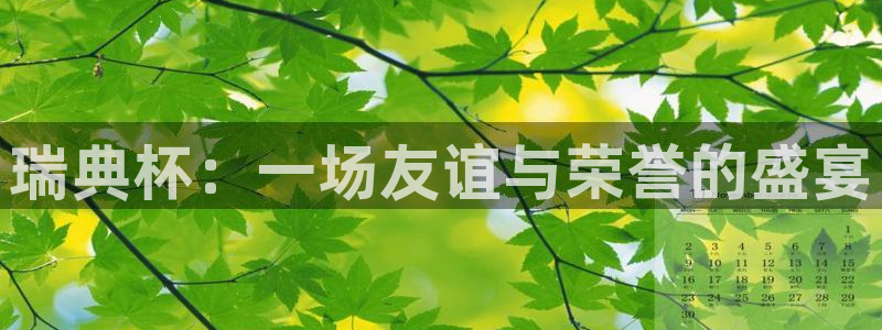 世界杯直播免费观看：瑞典杯：一场友谊与荣誉的盛宴