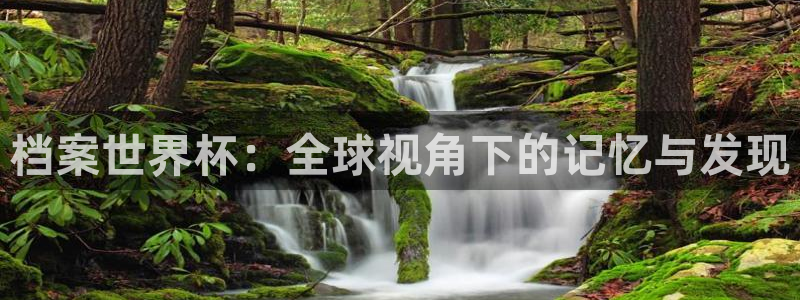世界杯亚洲区预选赛：档案世界杯：全球视角下的记忆与发现